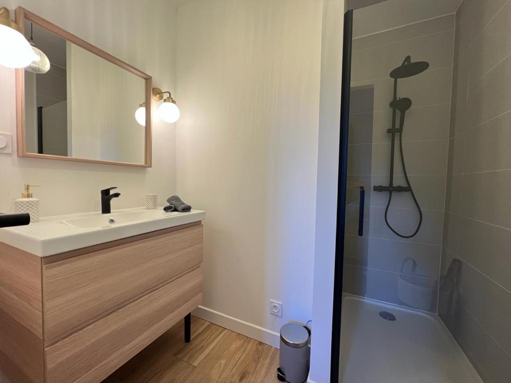 Appartement Coup De Coeur. St Etienne-Rochetaillee Saint-Etienne  Esterno foto
