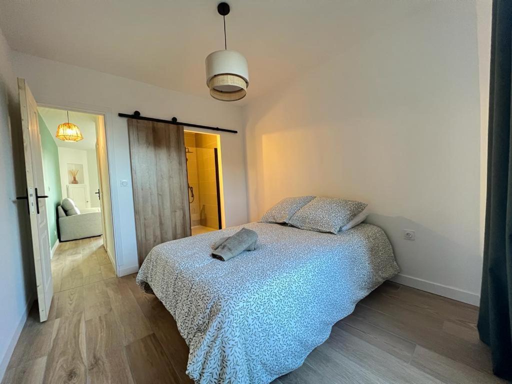 Appartement Coup De Coeur. St Etienne-Rochetaillee Saint-Etienne  Esterno foto
